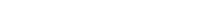 Netfoundry Logo White