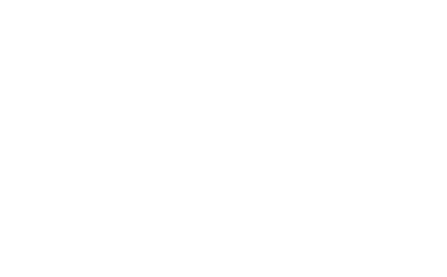 loop1 white logo SolarWinds Elite Partner