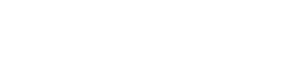 solarWinds alite partner logo white