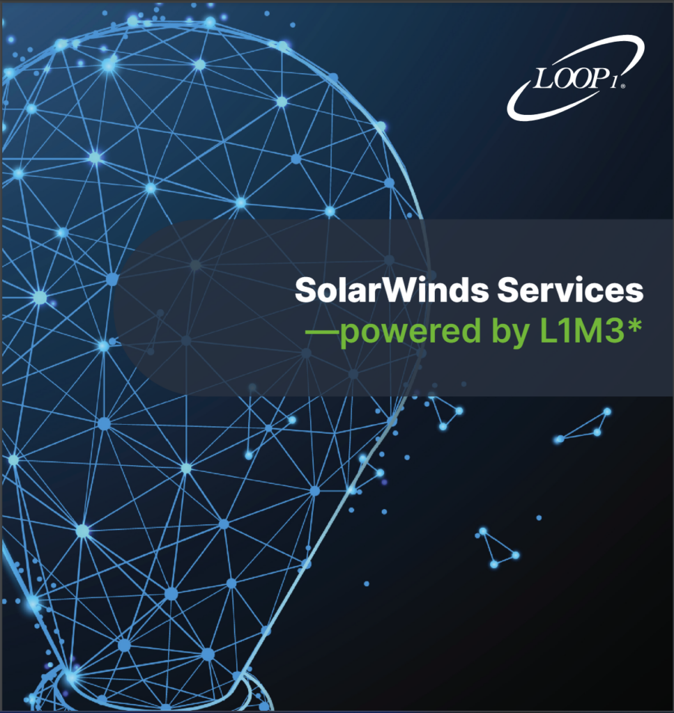 Loop1 L1M3 Services